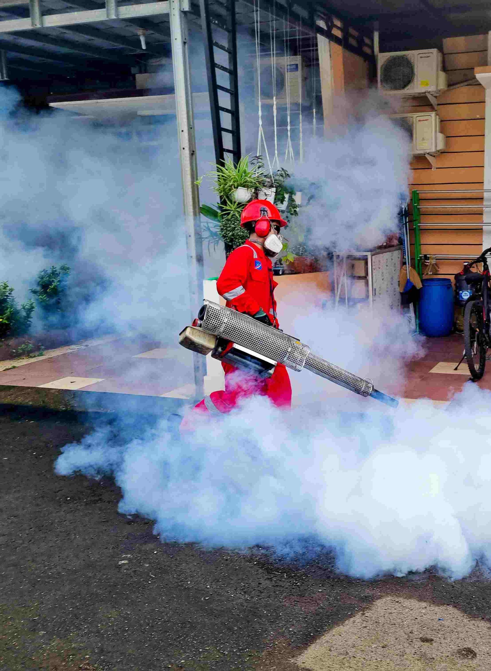 indianapolis pest control indianapolis pest control